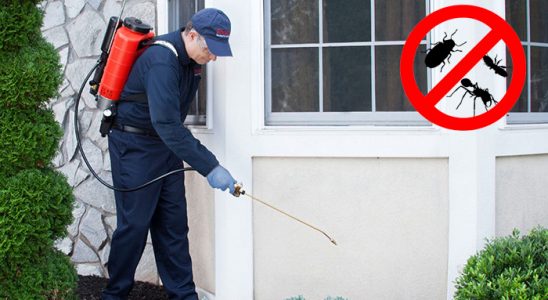 Sütçüler Kemirgen İlaçlama böcek ilaçlama ve haşere kontrolü — ilaclama-tr.com